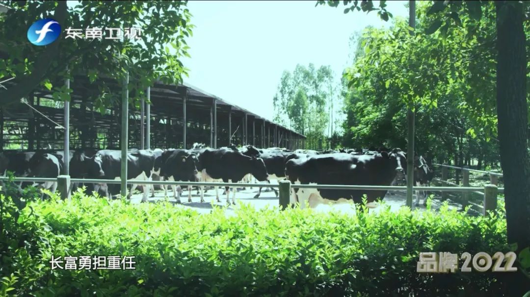 首页|7790必发集团中国官方网站